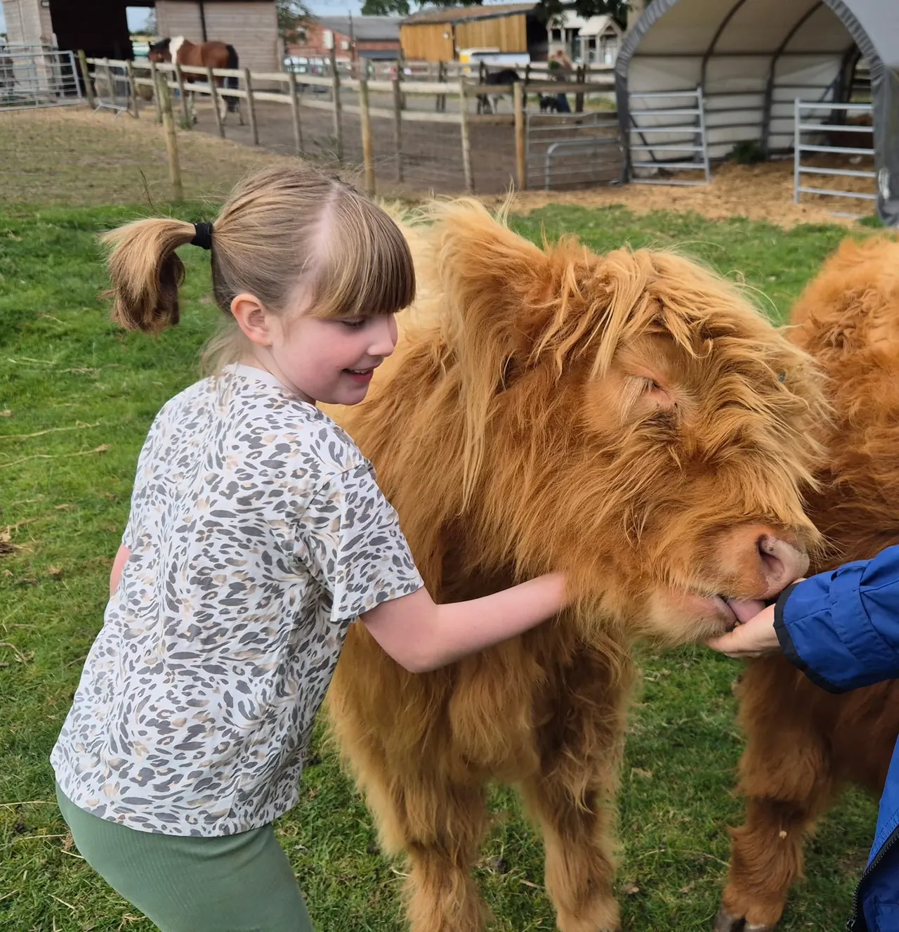 Child petting a brown farm animal in a field with fencing and farm buildings visible.
