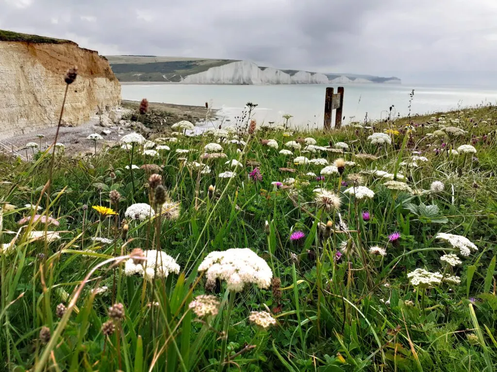 Country Parks & Nature Reserves in Brighton