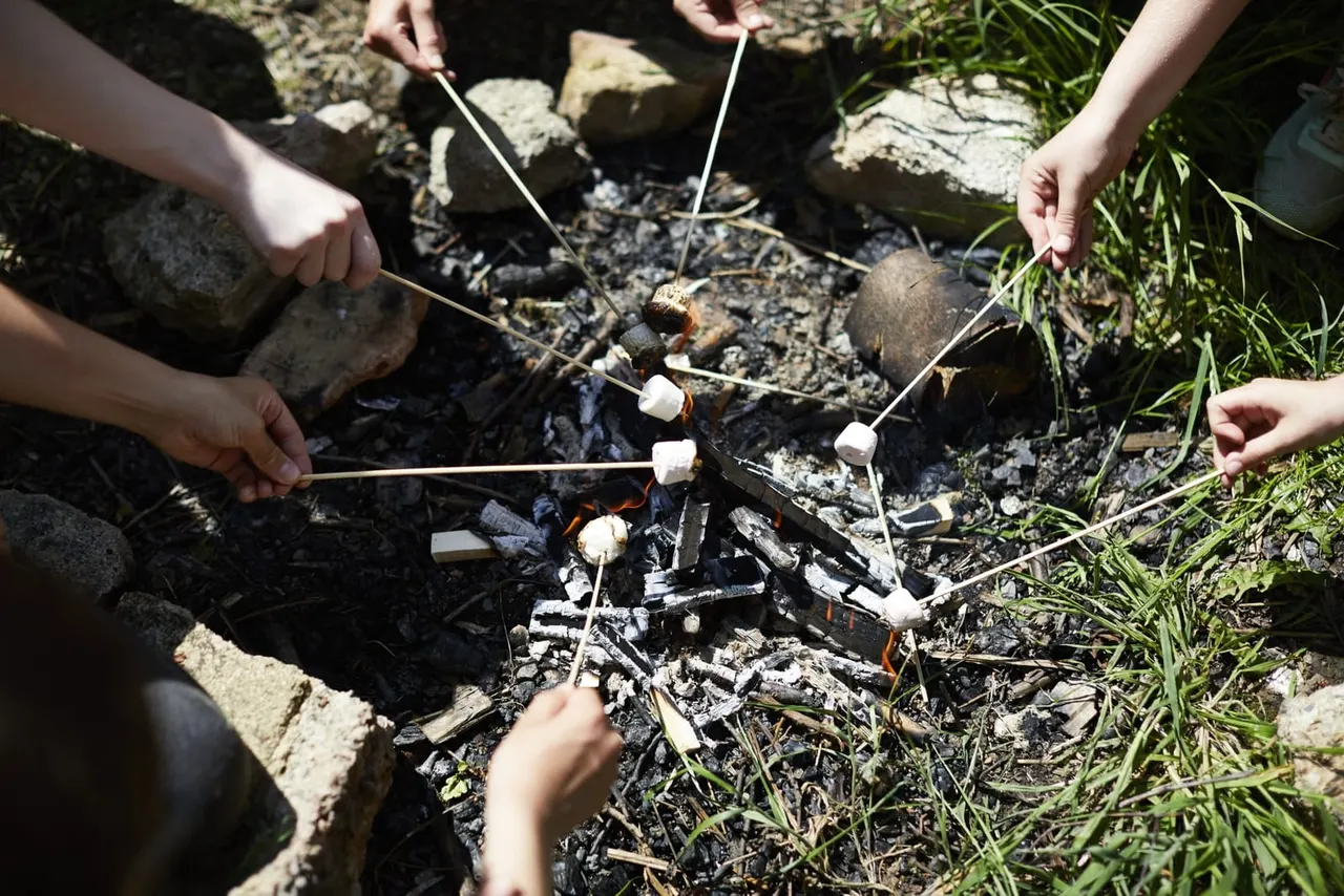 Multiple people toasting marshmallows over a campfire on sticks, surrounded by rocks and grass.