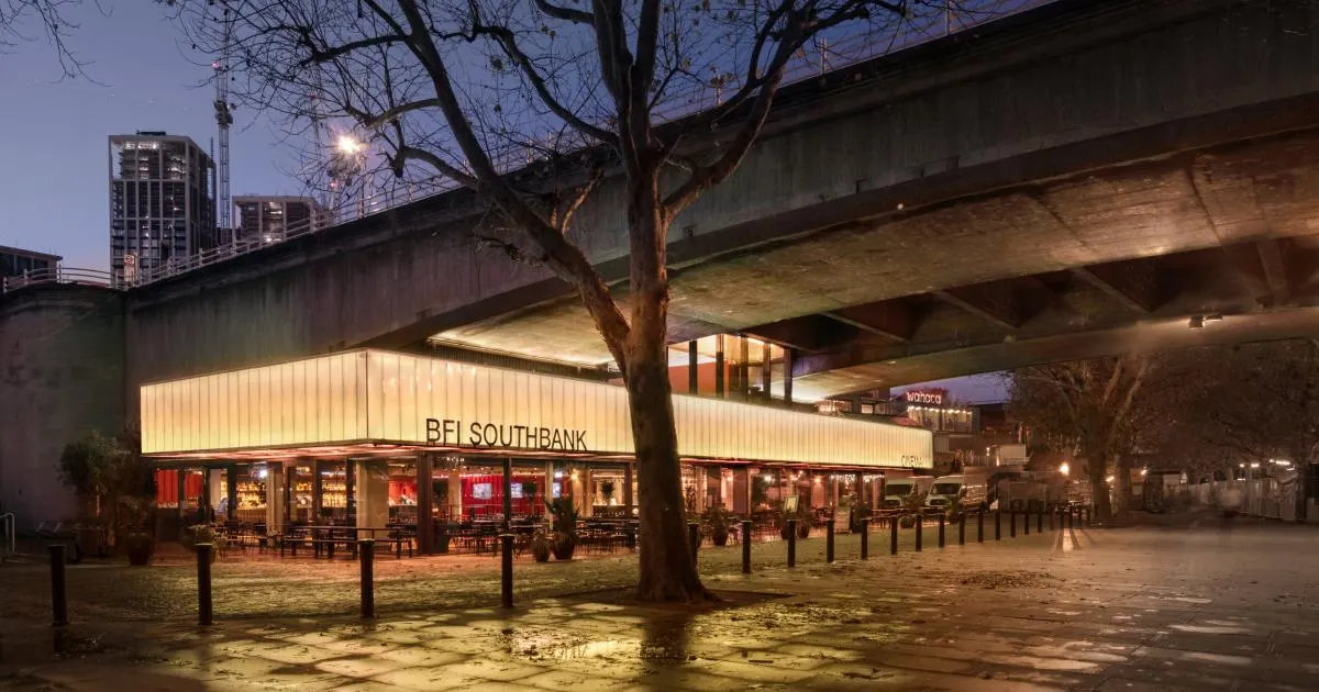 Modern cinema building lit up at dusk beneath a motorway bridge, with bare tree and paved plaza in foreground.