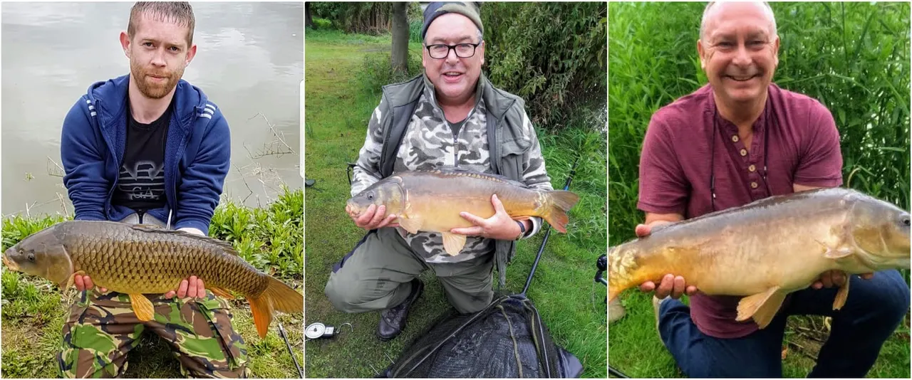 Three fishermen displaying their catches of carp at a lakeside location.