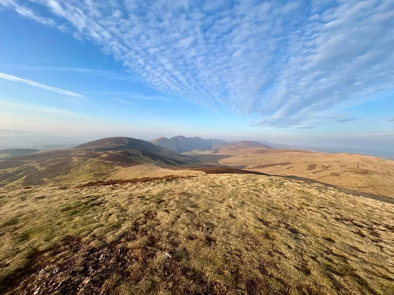 This is a PHOTOGRAPH.

Volcanic landscape with multiple cones and craters viewed from high ground under blue sky with wispy clouds.