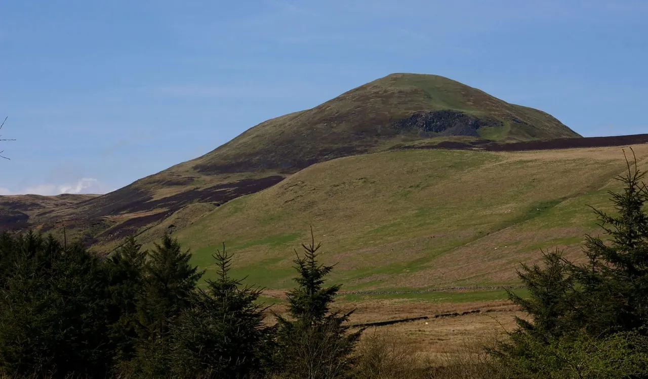 Rolling hillside with grassy slopes, young trees in foreground, and distinctive volcanic cone-shaped peak under clear blue sky.