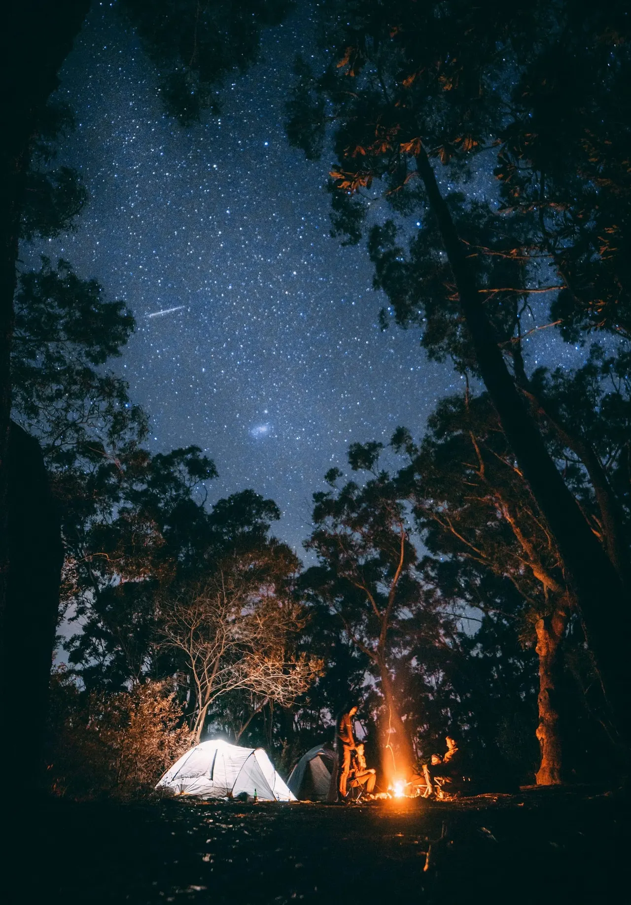 Tent lit from within beneath tall trees and a starry night sky, with a campfire glowing nearby.