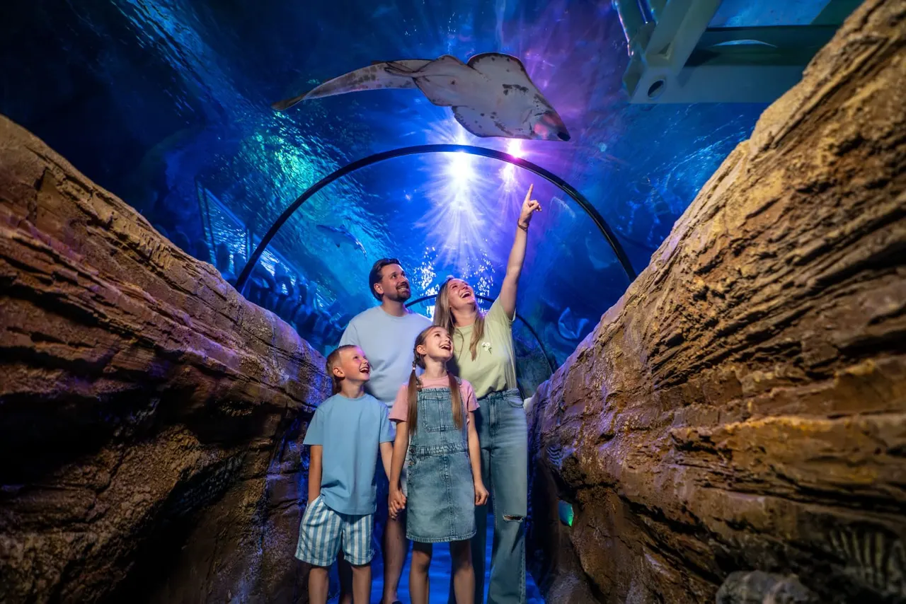 Family of four looking up at a stingray swimming through an underwater tunnel with blue and purple lighting.