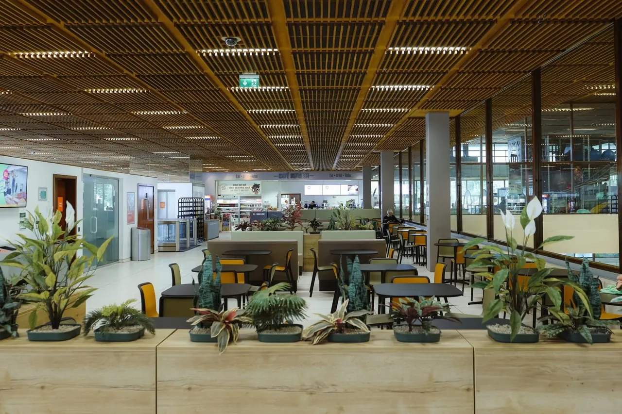 Modern indoor leisure facility with spacious seating area, potted plants, and service counter in background.