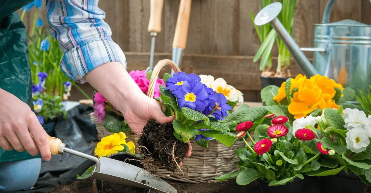 Child planting colourful flowering plants in soil with a trowel, surrounded by potted flowers and gardening tools.