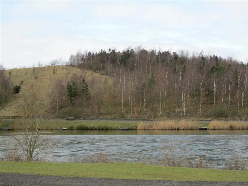 A tranquil lake surrounded by mixed woodland, grassland and reeds under a pale sky.