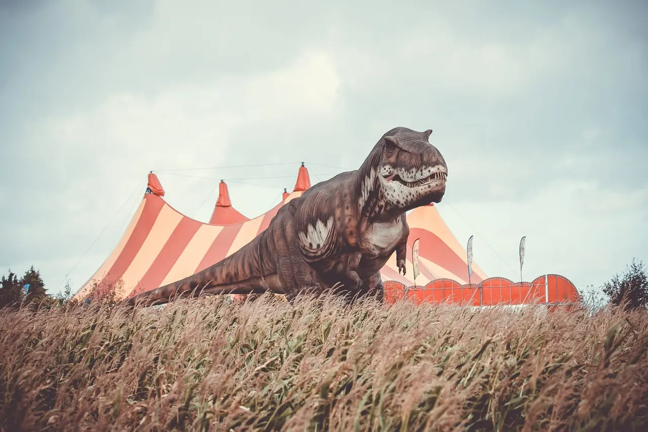 Halloween Farm site photo