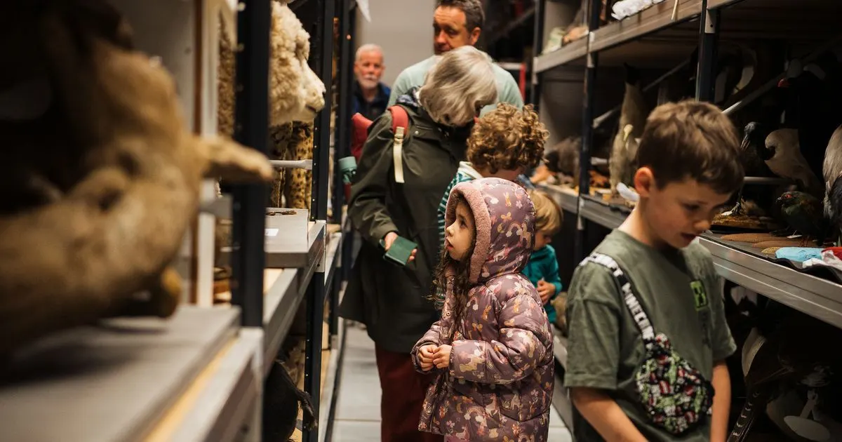 Children and adults viewing taxidermied animals in museum display cases.