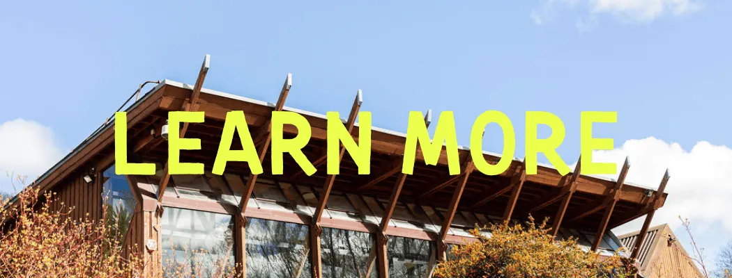 Meanwood Valley Urban Farm