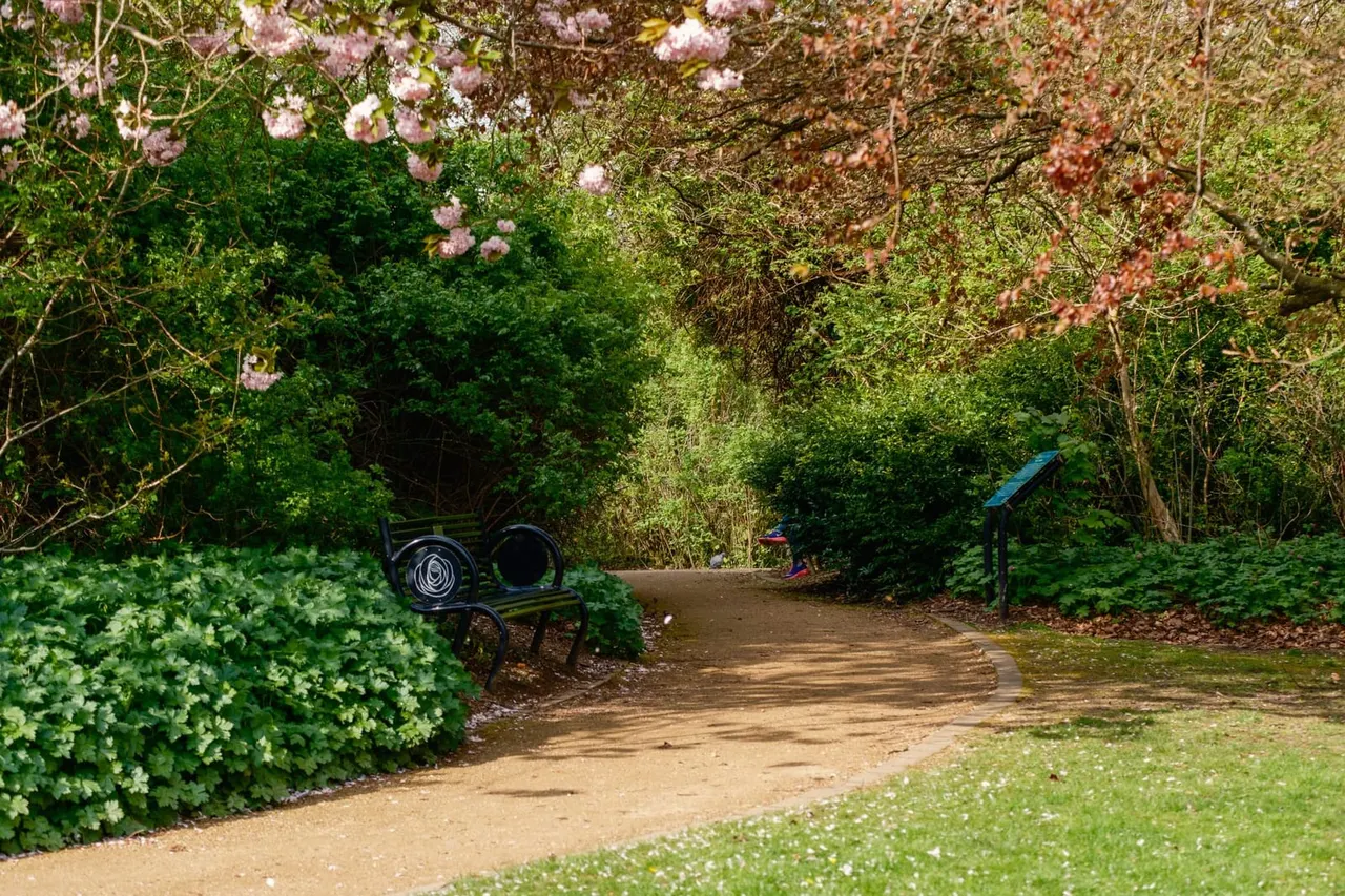 Glasgow Botanic Gardens spring