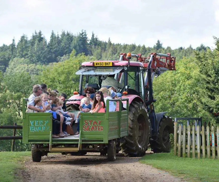 Adults and children ride in a green trailer pulled by a large red tractor through a forest setting.