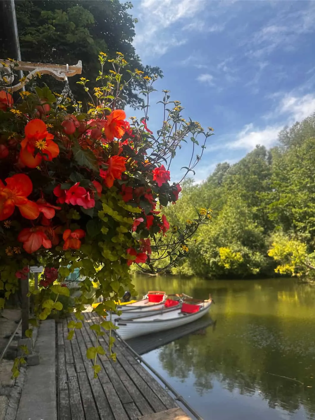 Red flowers hang from a wooden dock beside moored white boats on a calm river, with forested banks beyond.