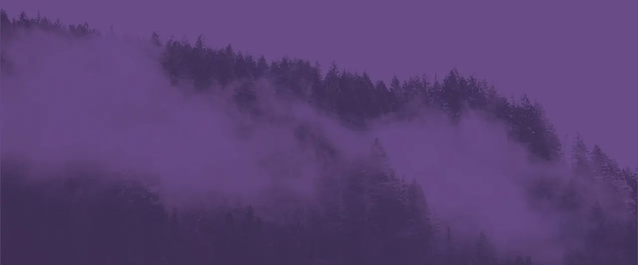 Misty forested hillside at dusk with coniferous trees emerging from thick purple fog.