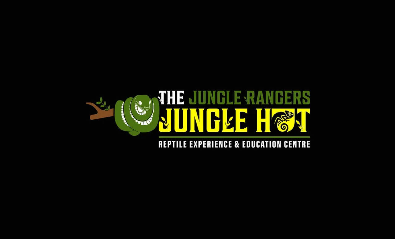 The Jungle Hut