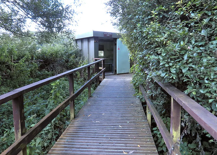 Wooden boardwalk with railings leading through dense vegetation towards a modern facilities building.