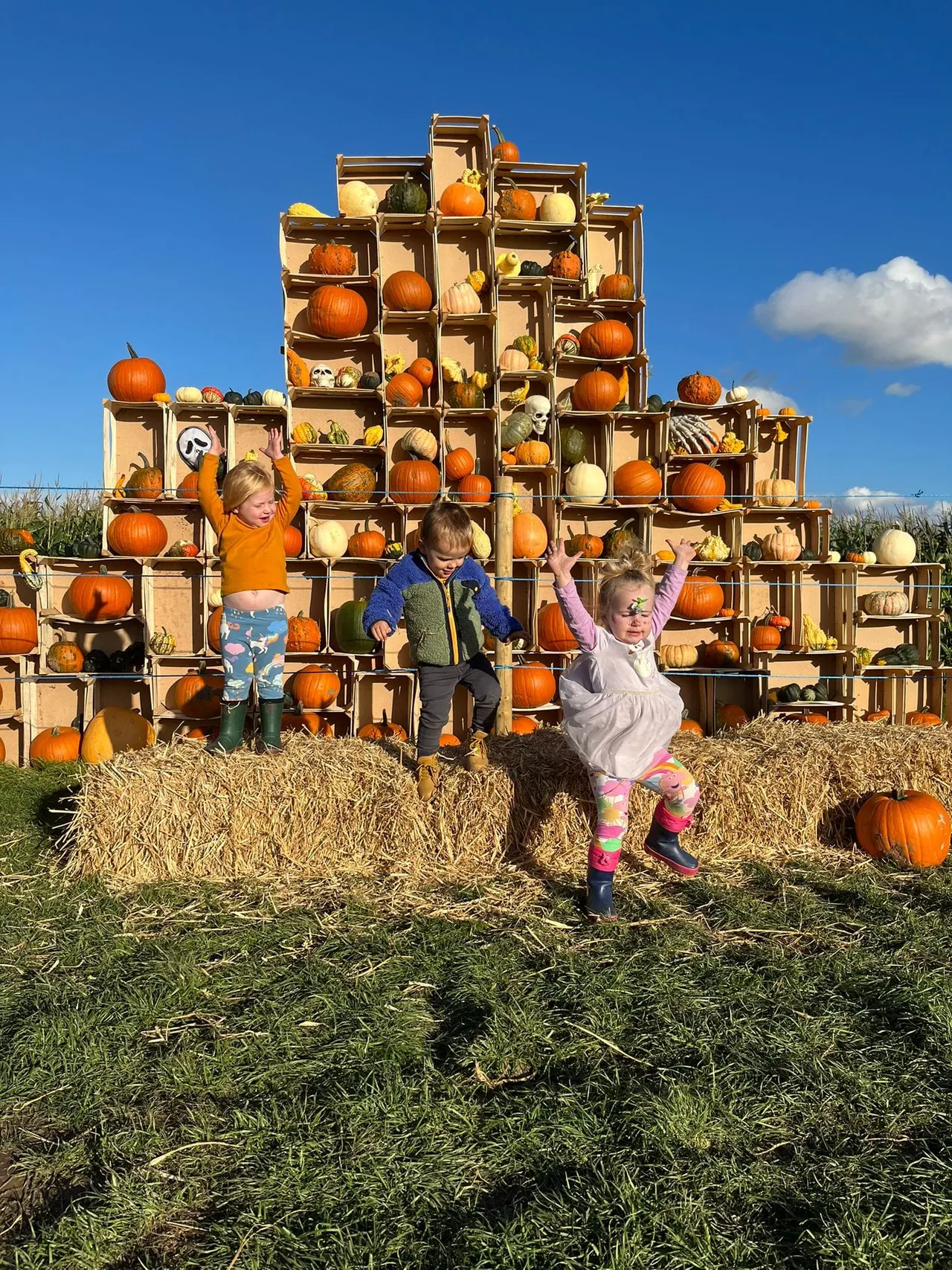 Four young children play on straw bales in front of a large wooden crate structure filled with pumpkins and gourds.