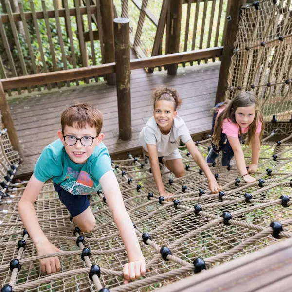 Three children navigating a rope and wooden obstacle course suspended between trees at an adventure park.