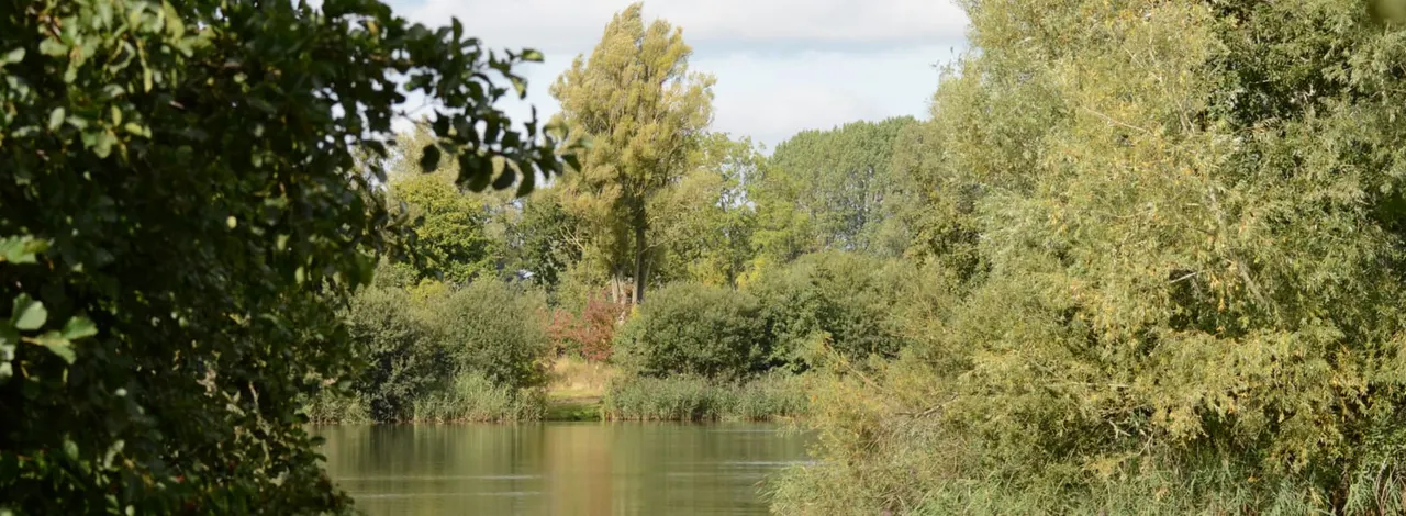 Calm river lined with mature trees and lush green vegetation on both banks under a partly cloudy sky.