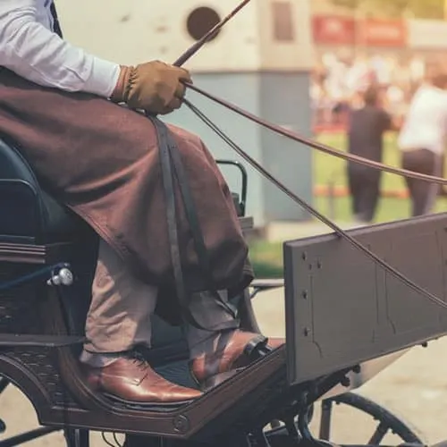 Person in period dress holding reins whilst seated in a horse-drawn carriage.