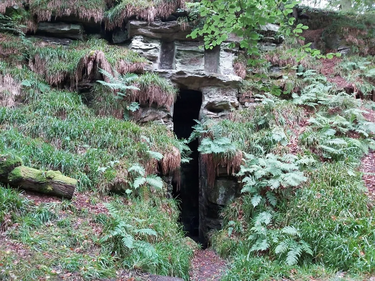 Overgrown stone grotto structure with dark entrance surrounded by moss, ferns and woodland vegetation.