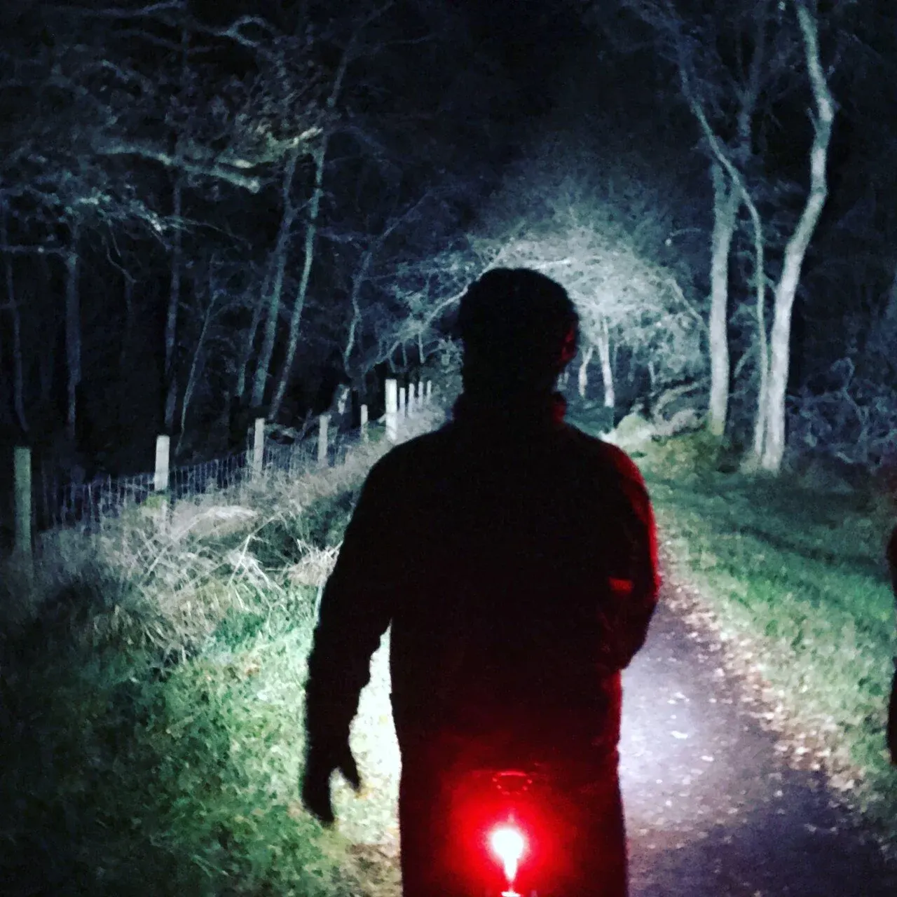 Person running on a woodland path at night, illuminated by a red headtorch.