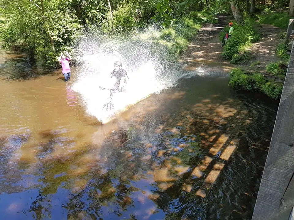 Children playing and splashing in a shallow river surrounded by woodland and trees.