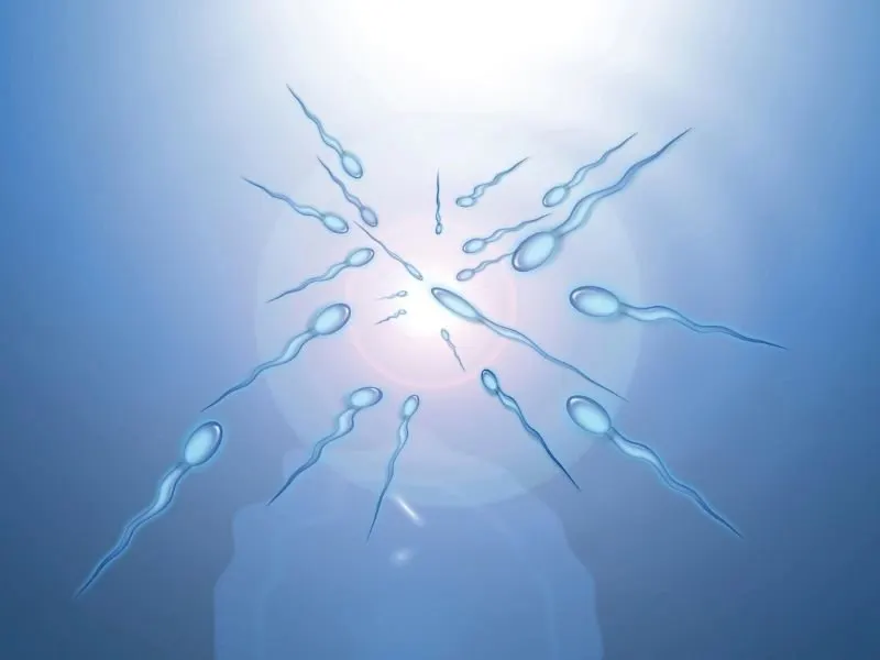 Parenting, Antenatal & Postnatal in Belfast