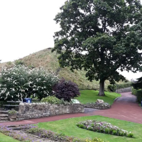 Landscaped garden with mature tree, planted beds, and grassy slopes leading to woodland.