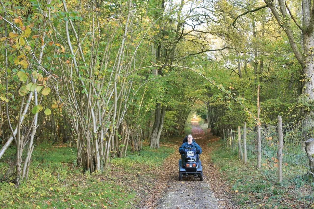 Person riding a quad bike along a tree-lined autumn woodland path.
