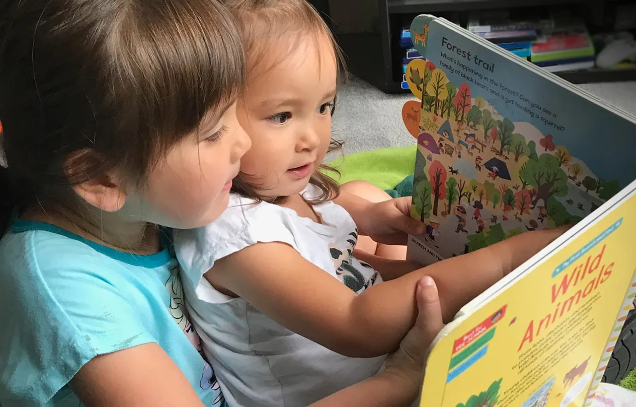 Two young children reading illustrated children's books together indoors.