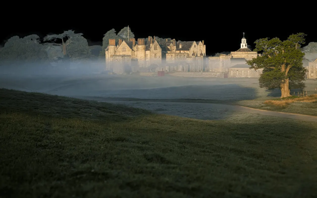 This is a designed graphic, not a photograph. The image shows a composite or artistic rendering with overlaid elements and idealised lighting that is not consistent with natural photography.

GRAPHIC