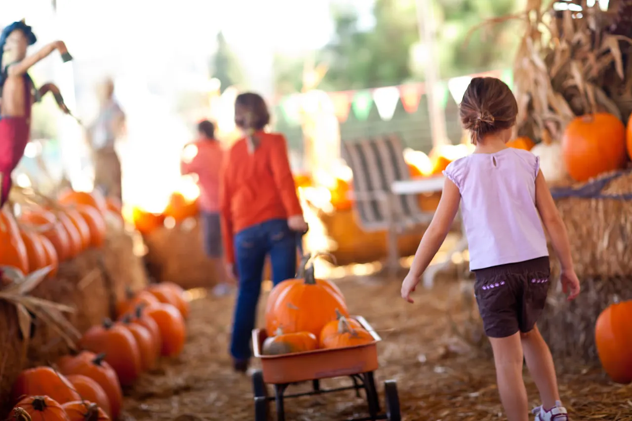 Children picking pumpkins in a patch with hay bales and bunting, during an autumn harvest activity.