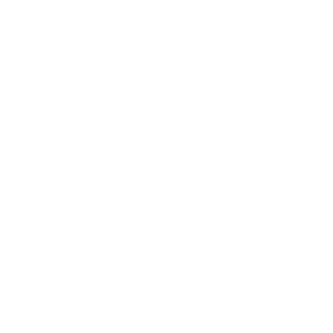 Silk Museum