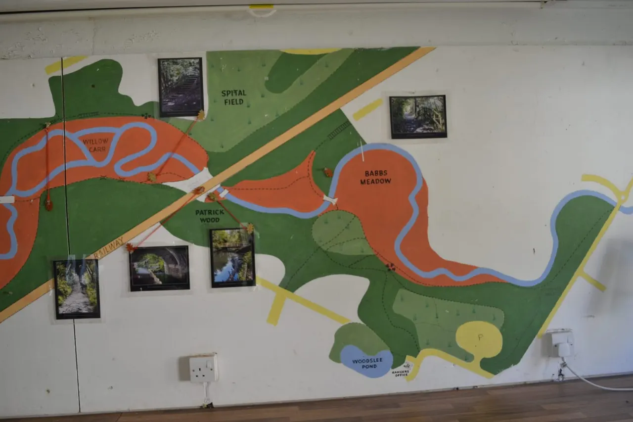 Brotherton Park and Dibbinsdale Local Nature Reserve