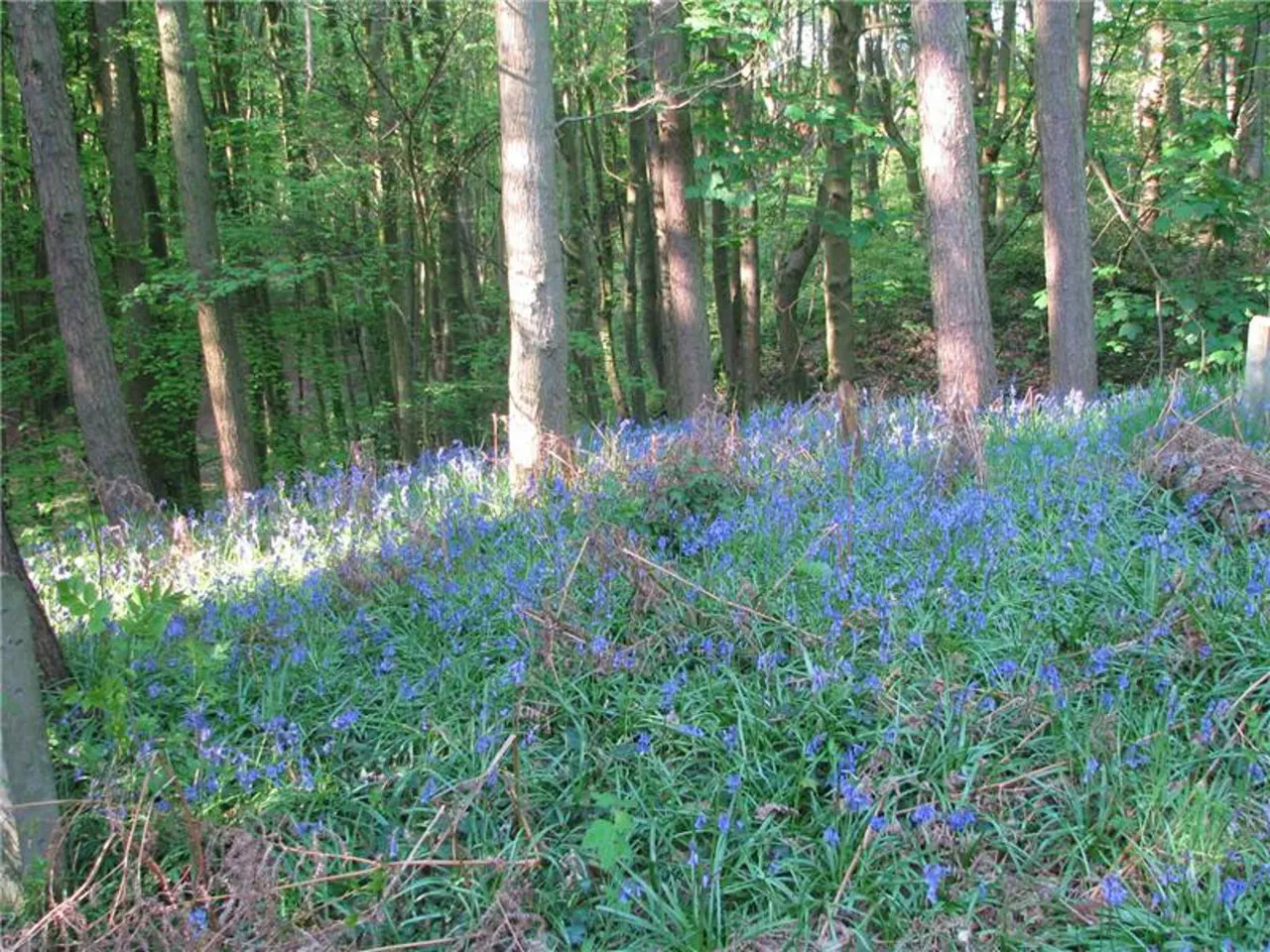 Walking & Cycling Trails in Preston