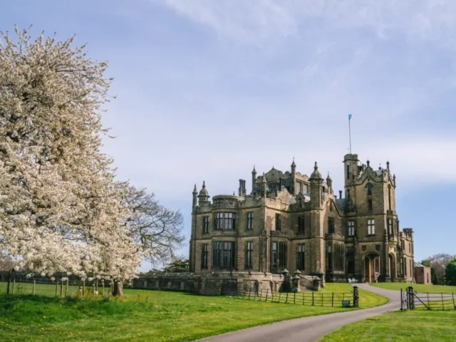 Stone castle with multiple turrets set in open parkland with flowering tree and manicured grounds.