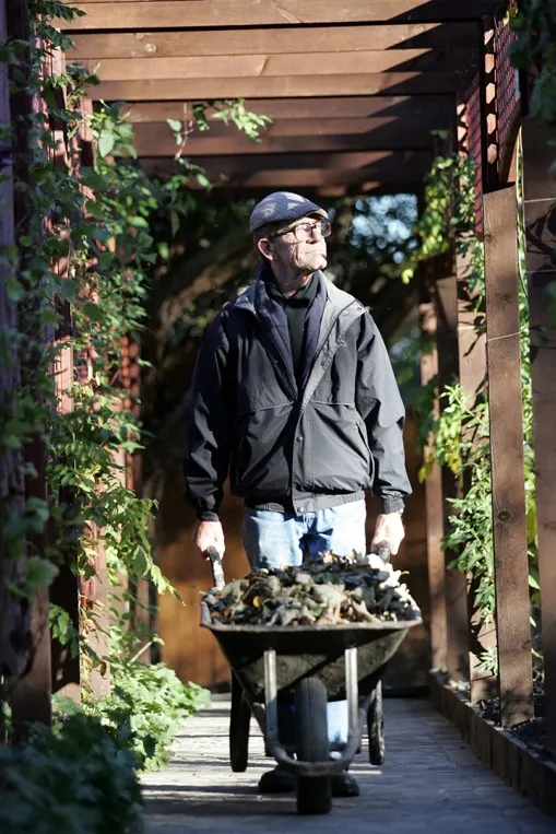 Man pushing a wheelbarrow of compost through a vine-covered garden pergola.