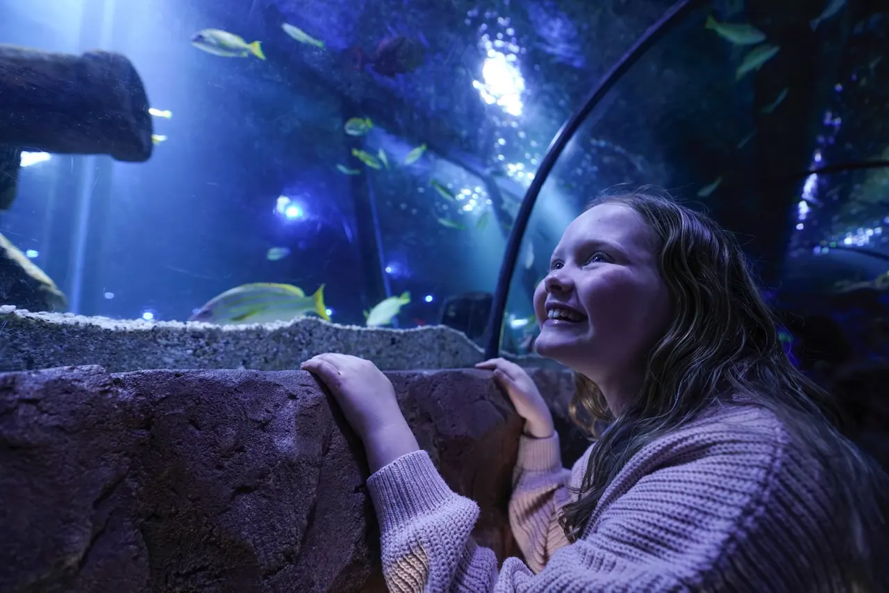 A young girl smiles while watching fish swim in an illuminated underwater tunnel at an aquarium.