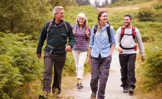 Four adults hiking along a woodland path with coniferous trees either side.