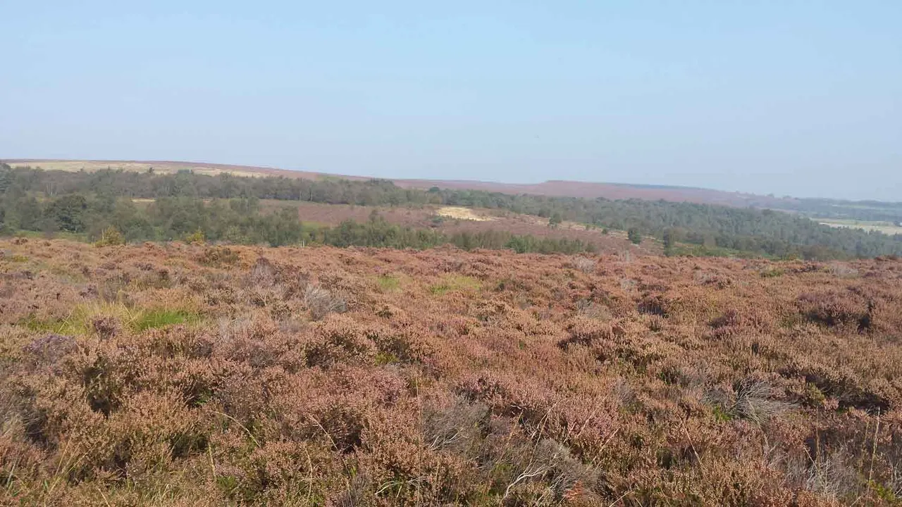 Walking & Cycling Trails in Sheffield