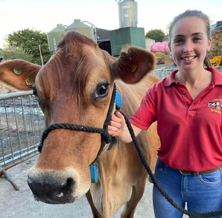Young woman in pink staff polo shirt holding the halter of a brown cow at a farm venue.