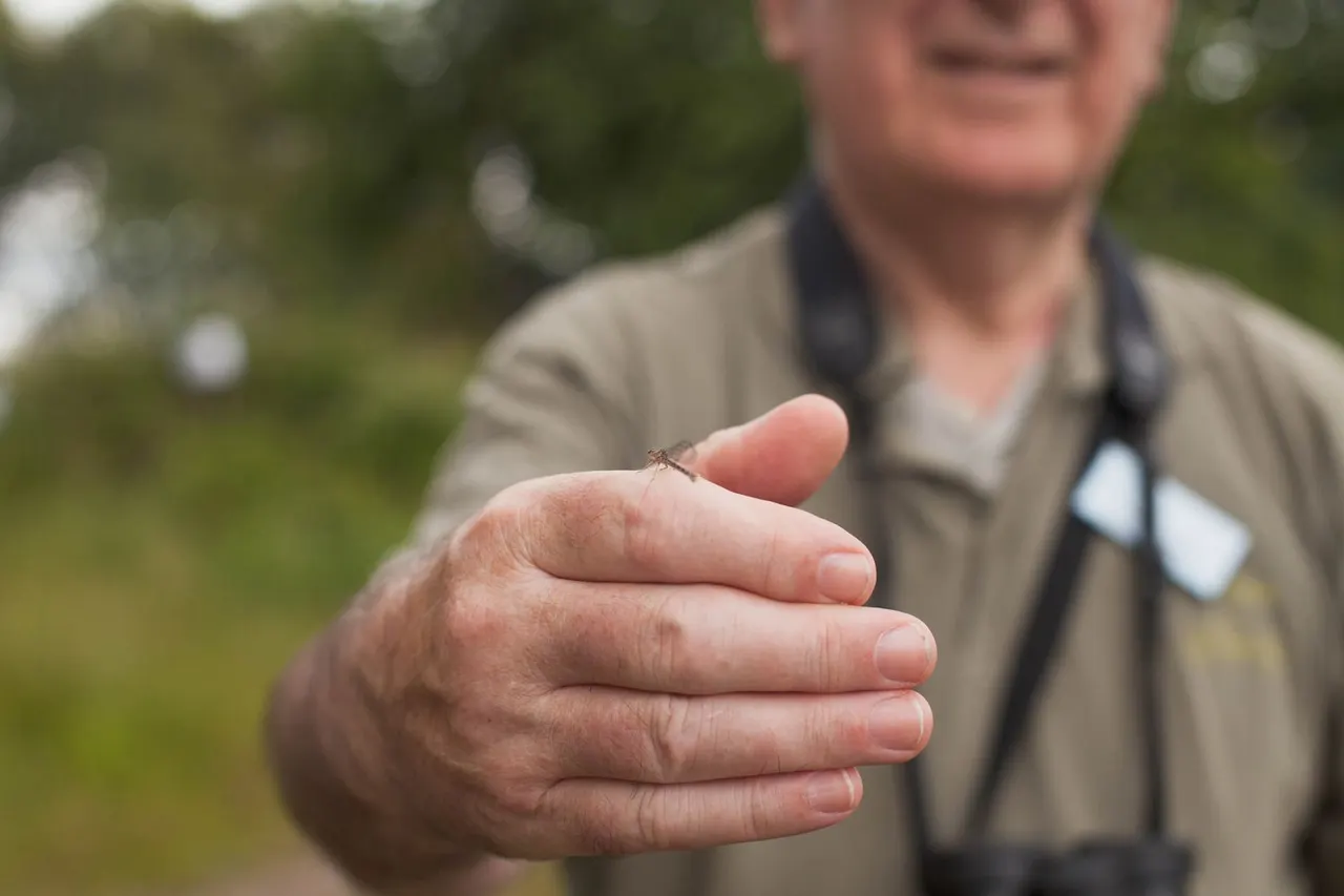 A small insect perched on an adult's outstretched palm during an outdoor nature activity.