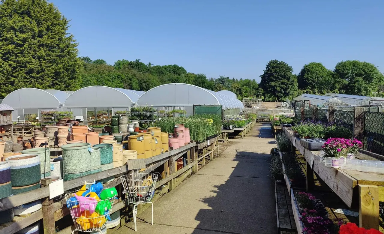 Garden centre with polythene greenhouses, colourful plant pots, flowering plants in beds, and shopping baskets on a sunny day.