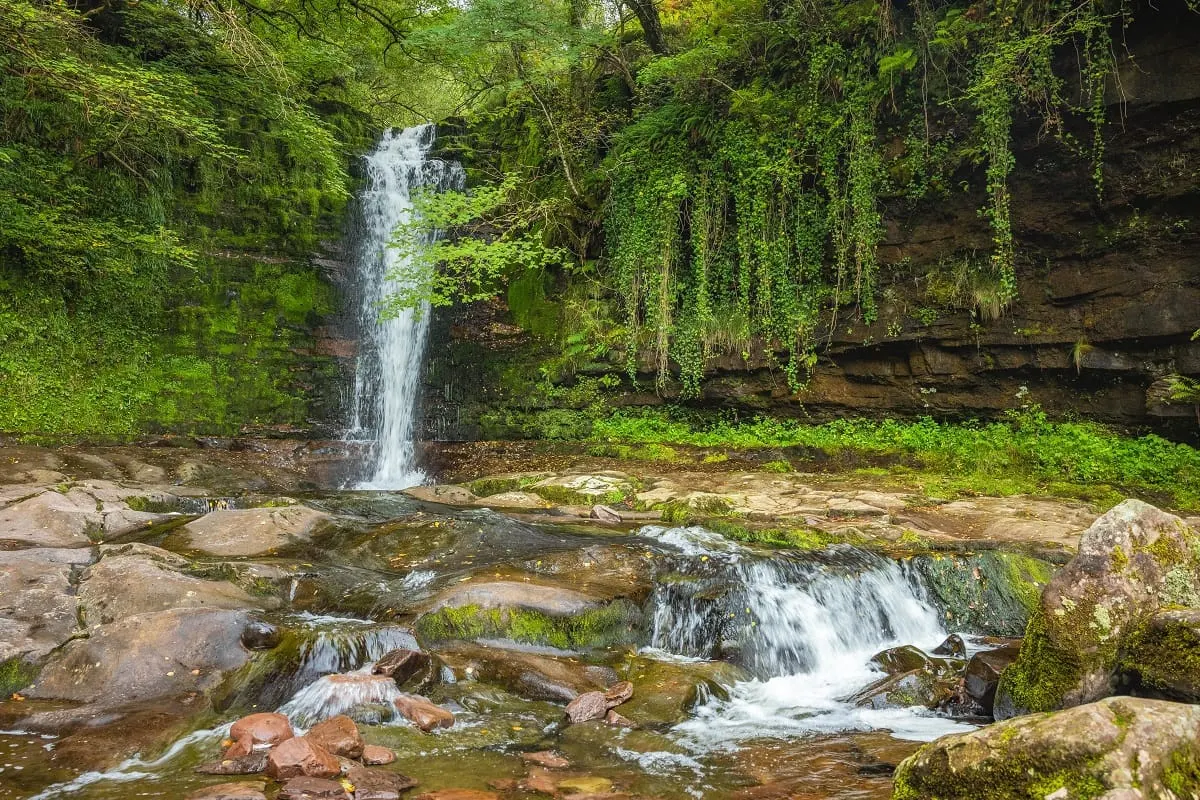 Waterfall cascades down moss-covered rock face in a lush, densely wooded ravine with a rocky stream in the foreground.