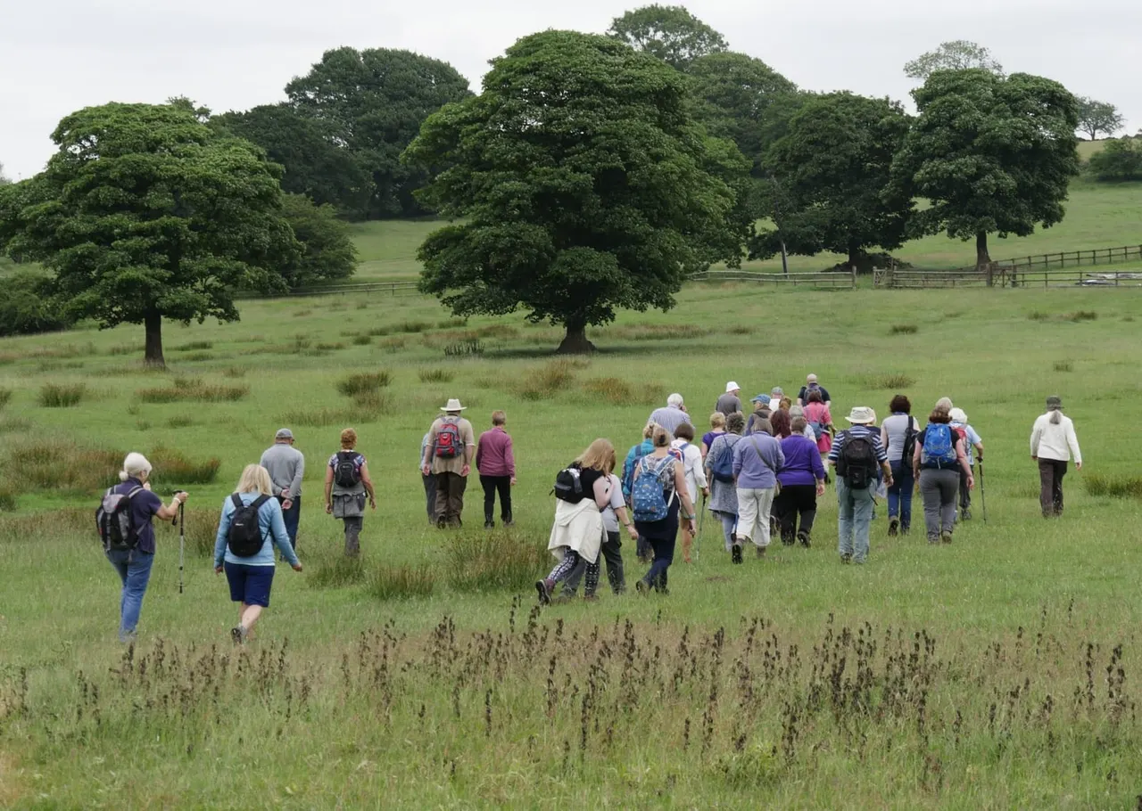 Large group of walkers hiking across an open green meadow with mature trees and wooden fencing in the distance.