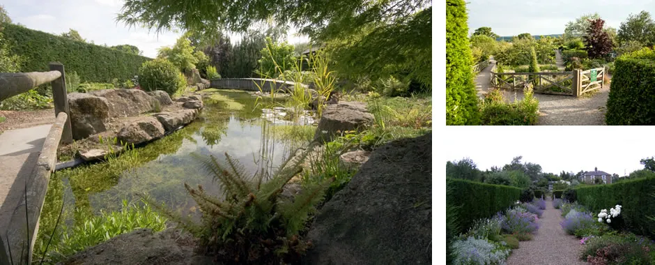 A tranquil pond with natural plantings and rocks in a landscaped garden setting.