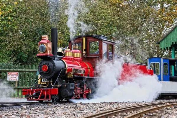 A red and black steam locomotive emits billowing white smoke whilst stationary on a narrow-gauge railway track surrounded by trees.