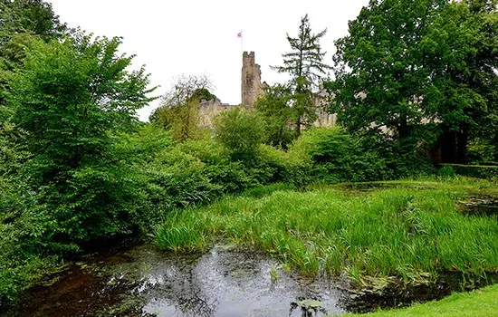 A shallow stream flows through a grassy meadow with dense green shrubs and trees, with a stone castle tower visible in the distance.